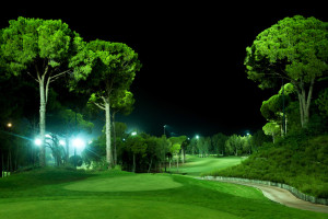 RegnumCarya7
