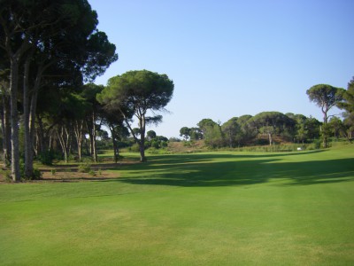 Faldo7