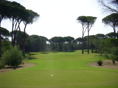 Faldo8