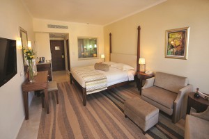 hotel-alexander-the-great-zimmer-3