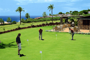 jardin_tecina3