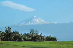 jardin_tecina5