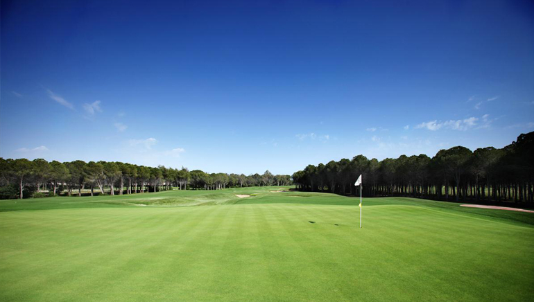 Montgomerie Maxx Royal