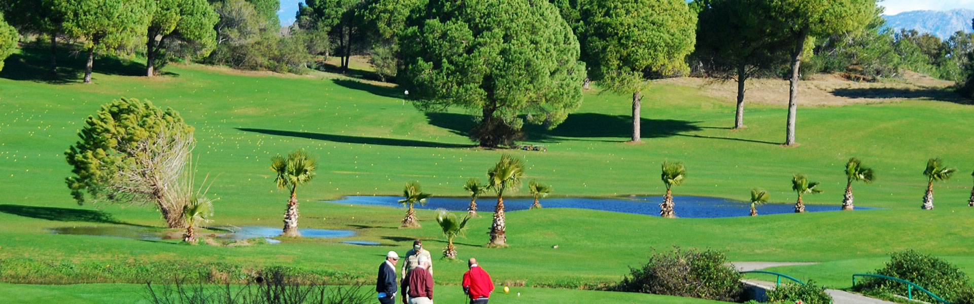 tatgolf3