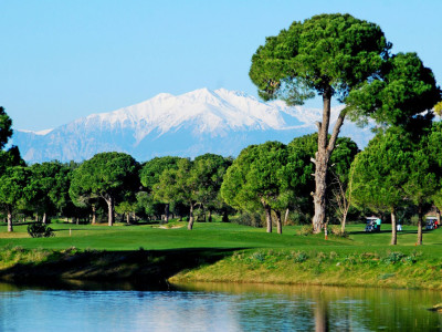 tatgolf4