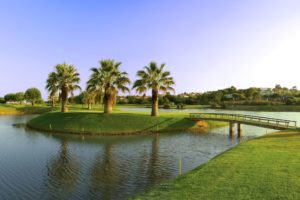 Portugal - Dona Filipa Hotel - Pinheiros Altos Olives 8th hole
